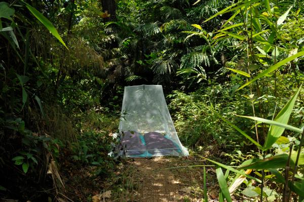 InsectShield Camping Net doubl