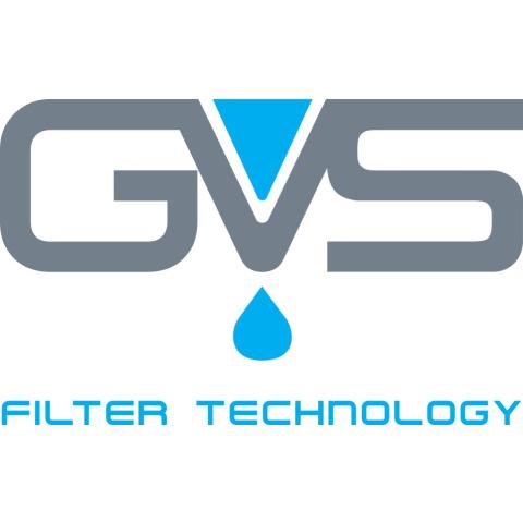 GVS