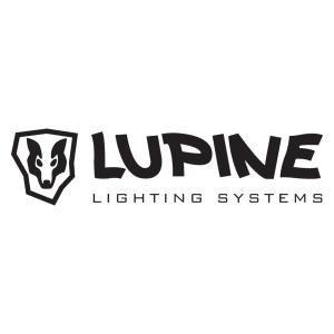 Lupine