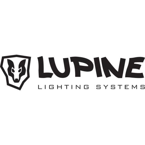 Lupine