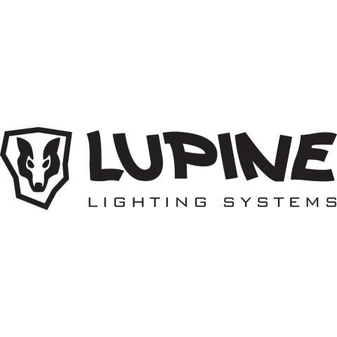 Lupine