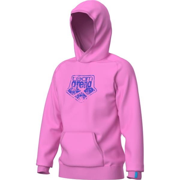 Hooded Sweat Arena Logo Orchid